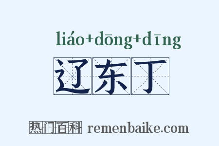 辽东丁是什么意思的图片